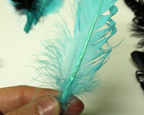glue-turq-feather