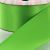 Leaf Green Double Faced Satin Ribbon 549